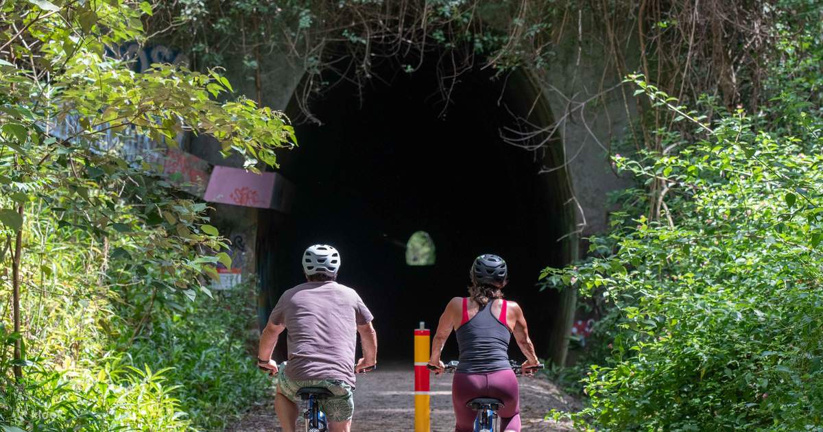 Glow worm hot sale bikes